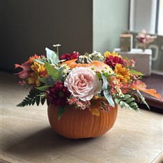 Orange Pumpkin Flowers